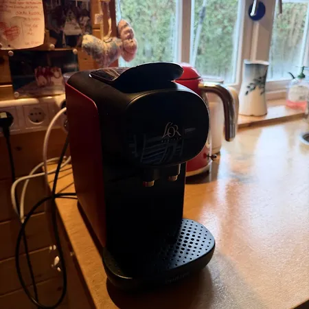 Houten Familiehuisje Met Grote Tuin ノールトウェイク