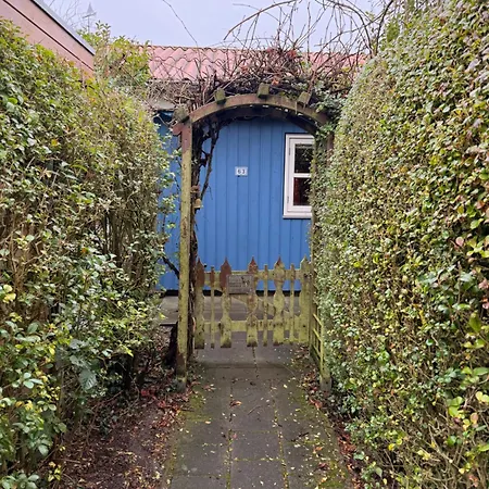 Houten Familiehuisje Met Grote Tuin アパート ノールトウェイク