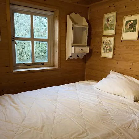 Houten Familiehuisje Met Grote Tuin アパート ノールトウェイク