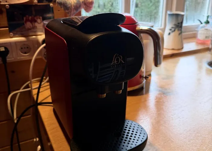 Houten Familiehuisje Met Grote Tuin Noordwijk