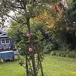 Houten Familiehuisje Met Grote Tuin 아파트 노르트베이크